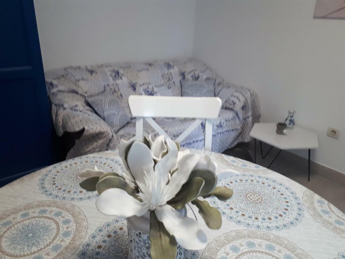 Apartment Terra Rossa Kaštelir エクステリア 写真