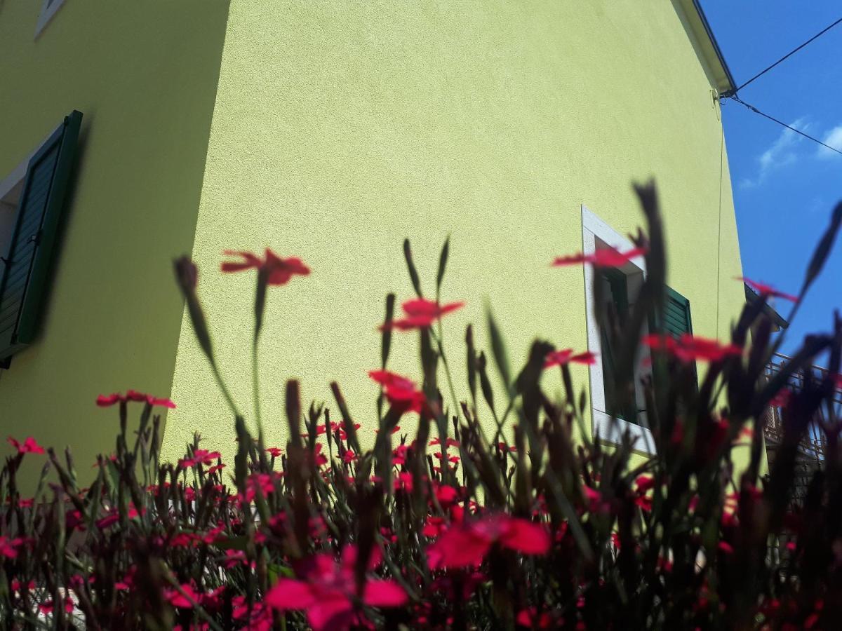 Apartment Terra Rossa Kaštelir エクステリア 写真