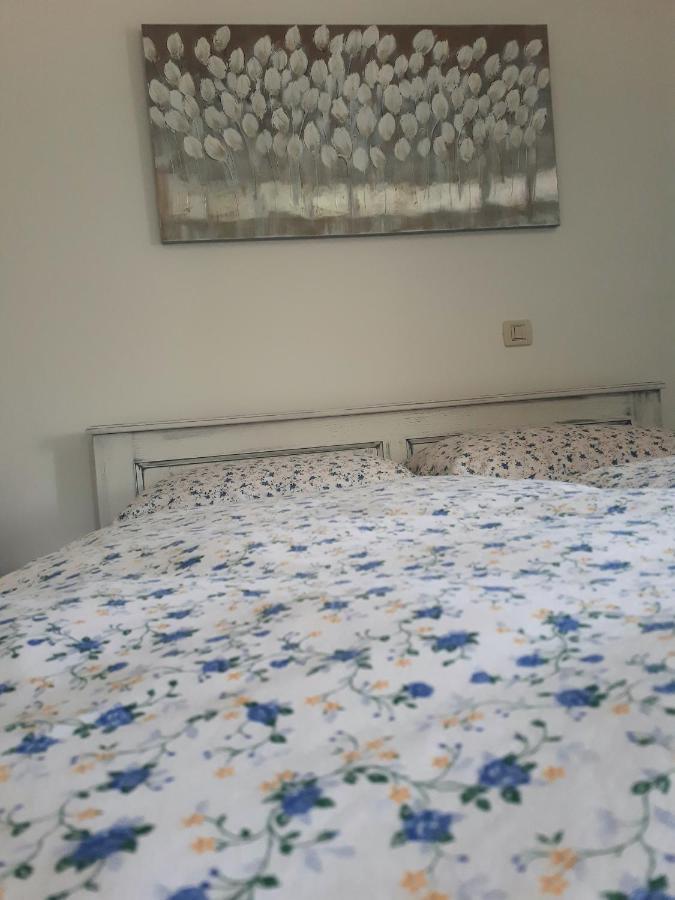 Apartment Terra Rossa Kaštelir エクステリア 写真
